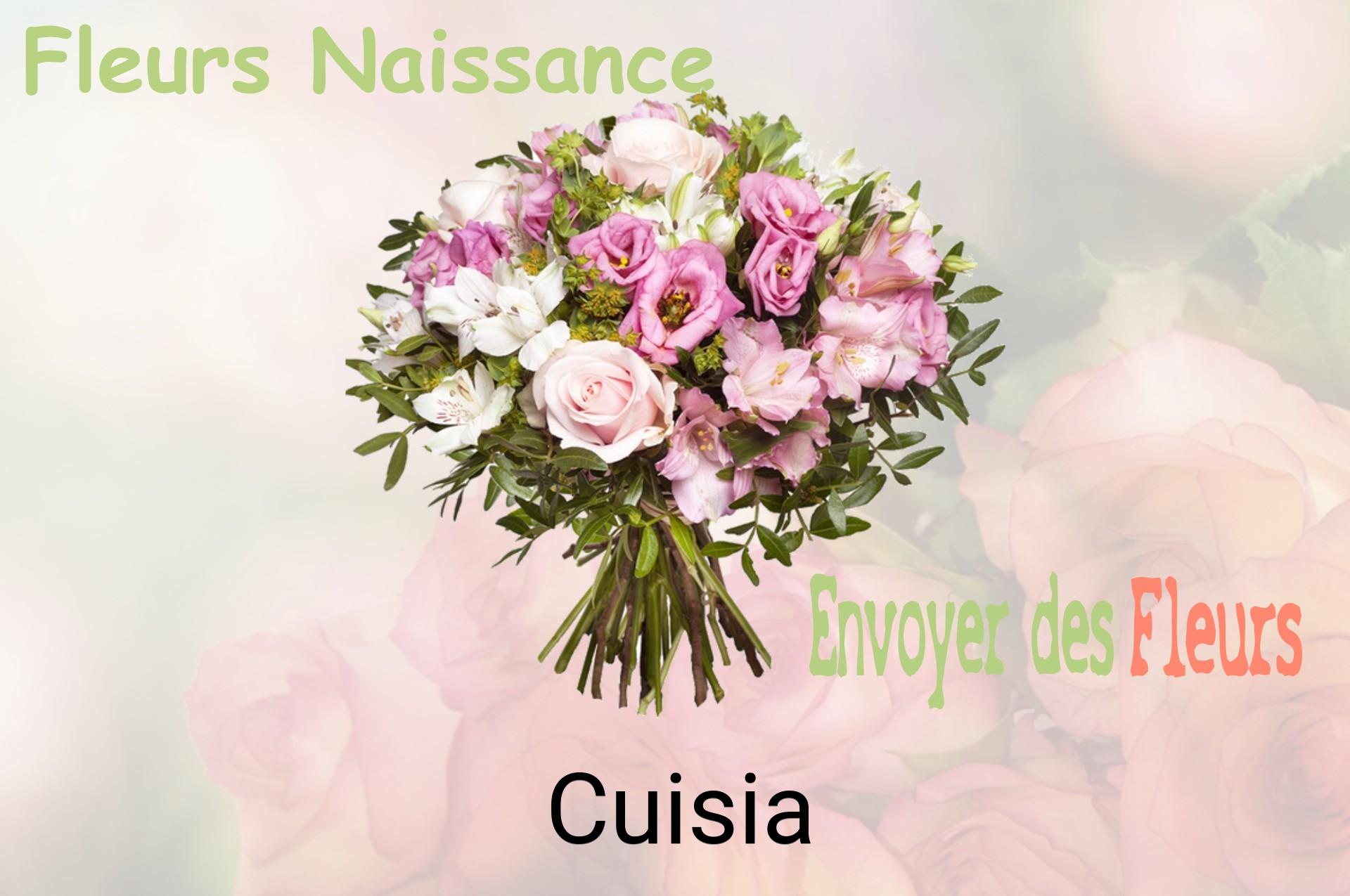Bouquet de fleurs de naissance livré à Cuisia