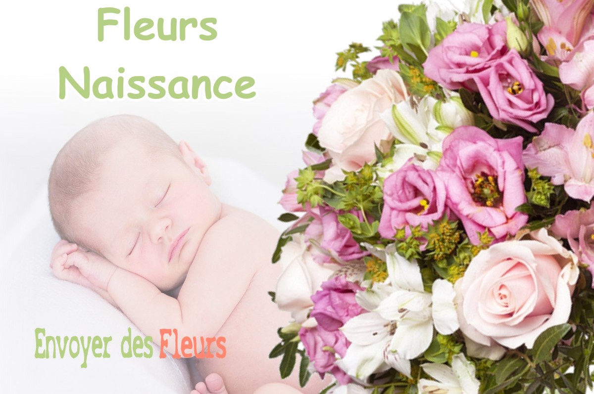 lIVRAISON FLEURS NAISSANCE à CUISIA